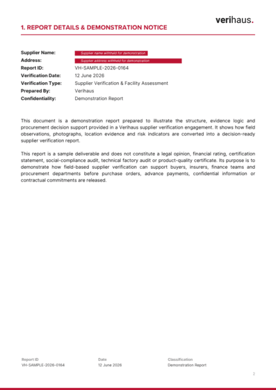 Report details and executive dashboard page